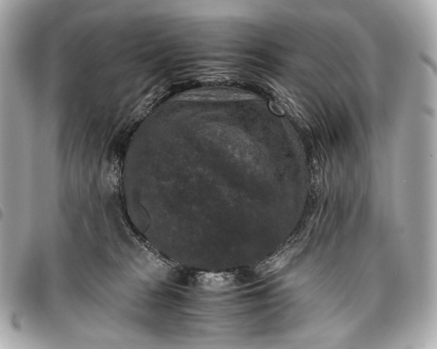 X0000096980277200802221441