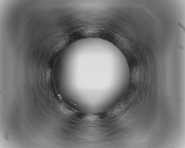 X0000096980278200802221441