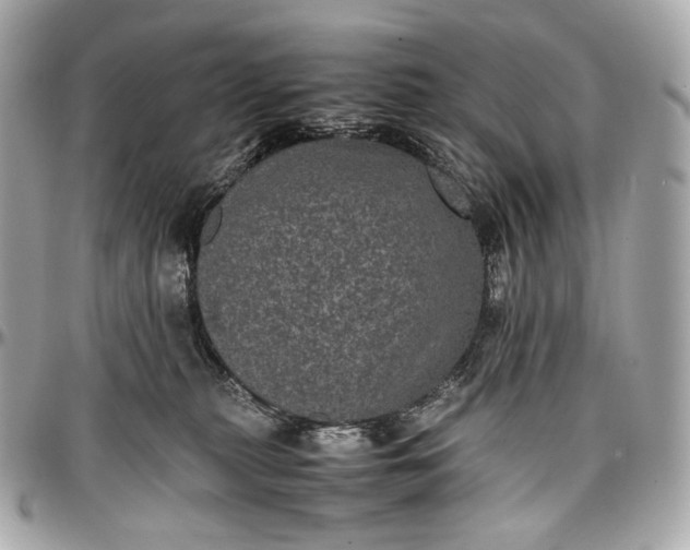 X0000096980279200802221441