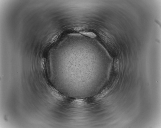 X0000096980280200802221441