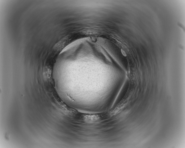 X0000096980281200802221441