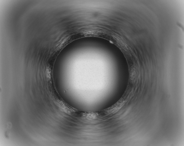 X0000096980282200802221441