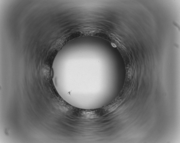 X0000096980283200802221441