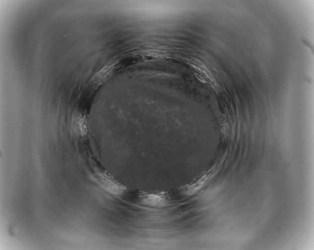 X0000096980285200802221441