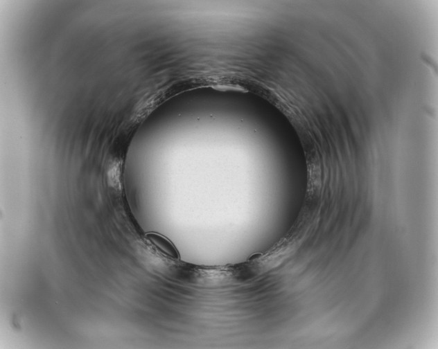 X0000096980286200802221441