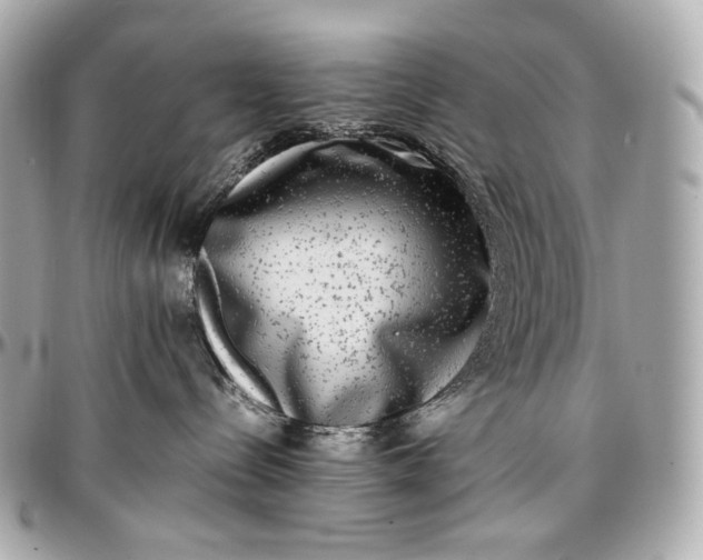 X0000096980288200802221441