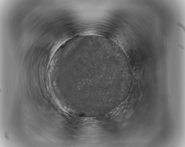 X0000096980289200802221440