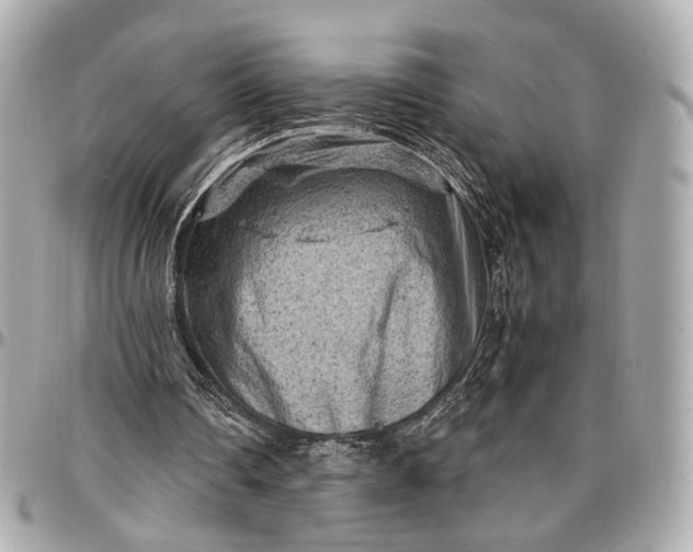 X0000096980290200802221440