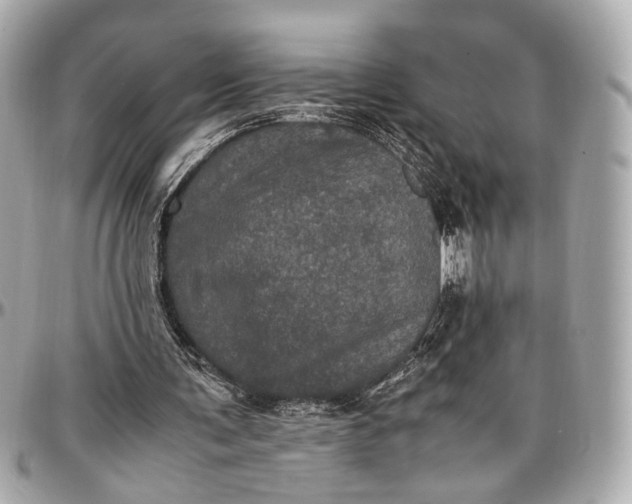 X0000096980291200802221440