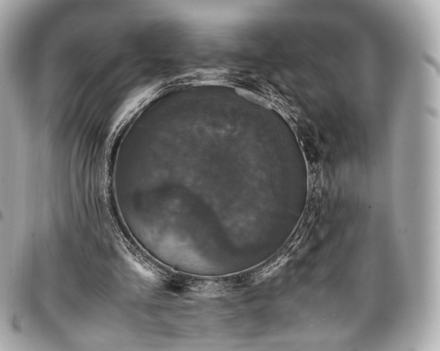 X0000096980293200802221440