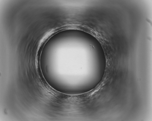 X0000096980294200802221440