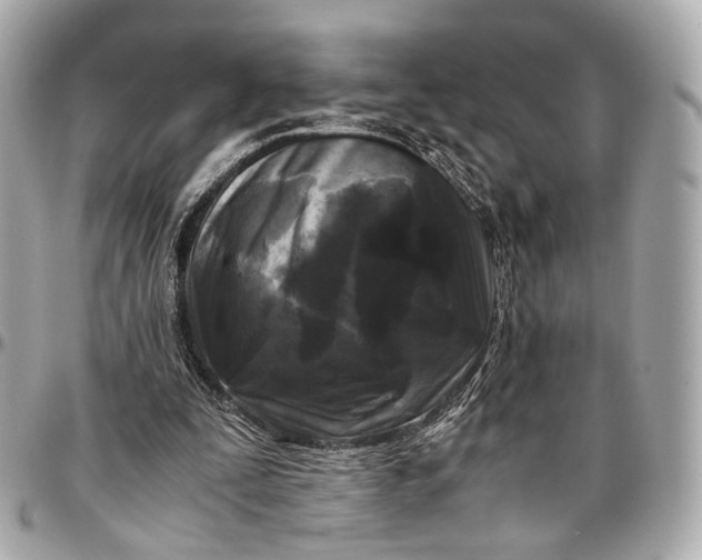 X0000096980295200802221440