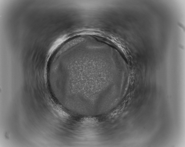 X0000096980296200802221440