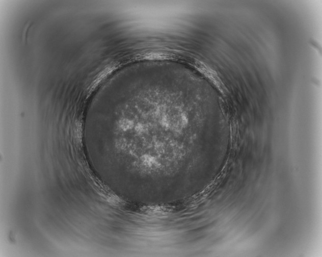 X0000096980297200802221440