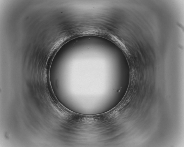 X0000096980298200802221440