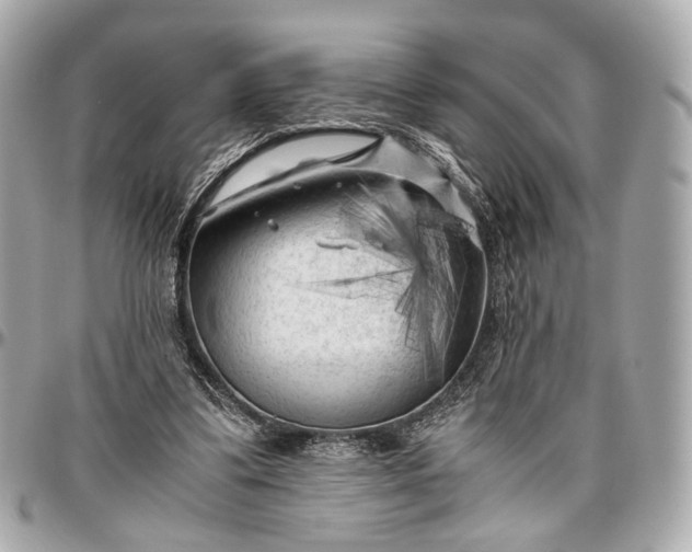 X0000096980299200802221440