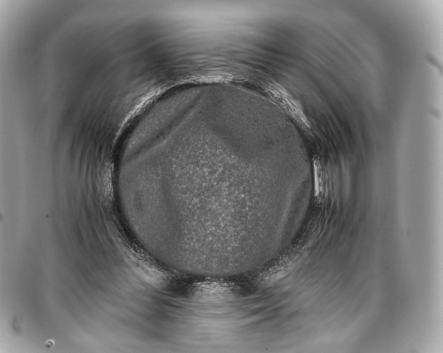 X0000096980300200802221440