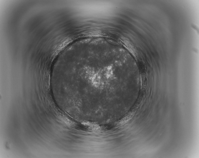 X0000096980301200802221440