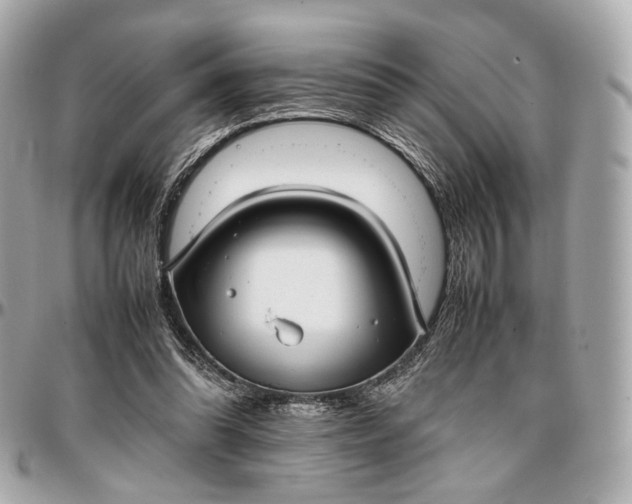 X0000096980302200802221440