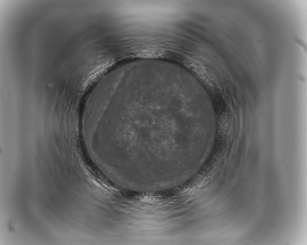 X0000096980303200802221440