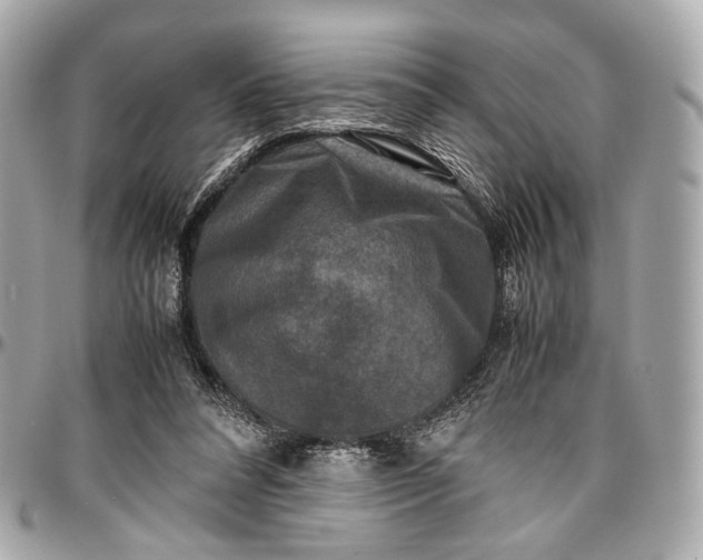 X0000096980304200802221440