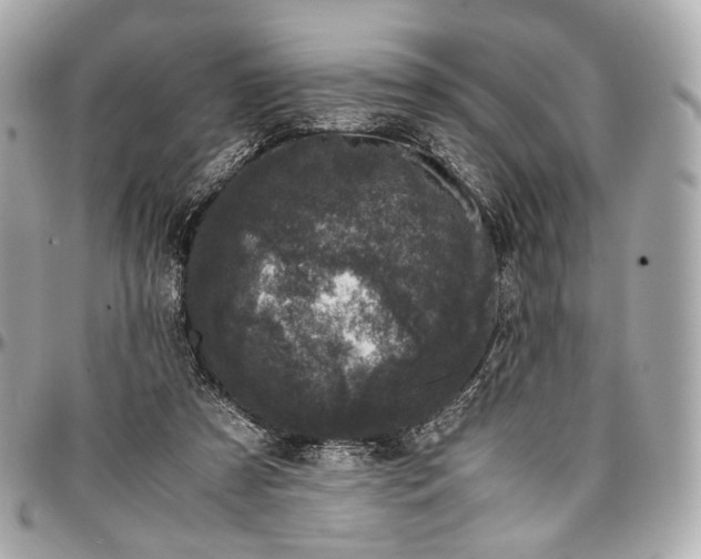 X0000096980305200802221440