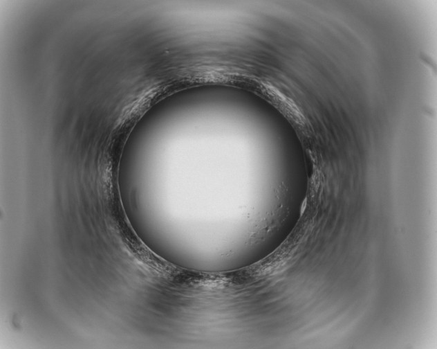 X0000096980306200802221440