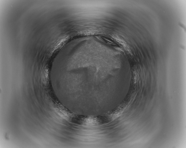 X0000096980308200802221440