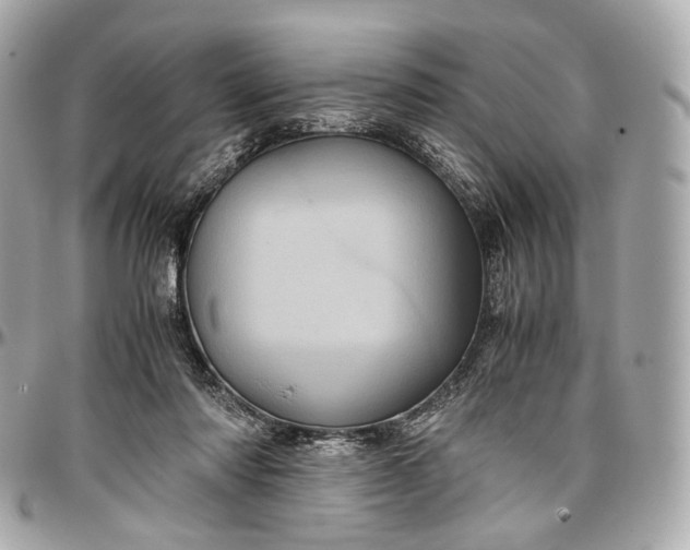 X0000096980310200802221440