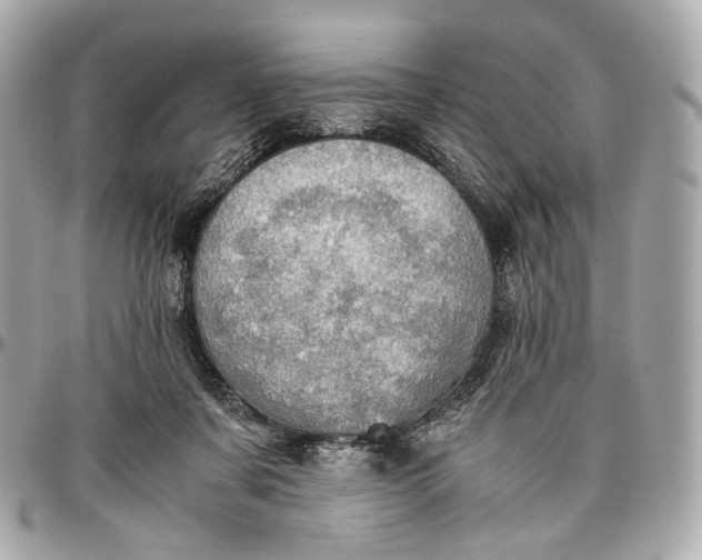 X0000096980311200802221440