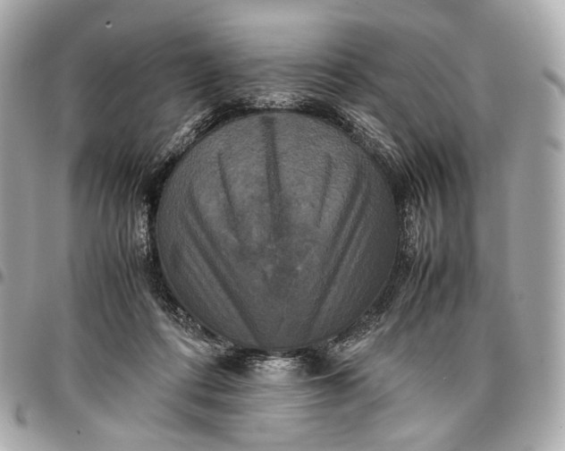 X0000096980312200802221440