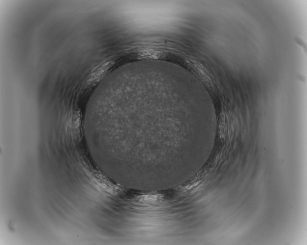 X0000096980314200802221440