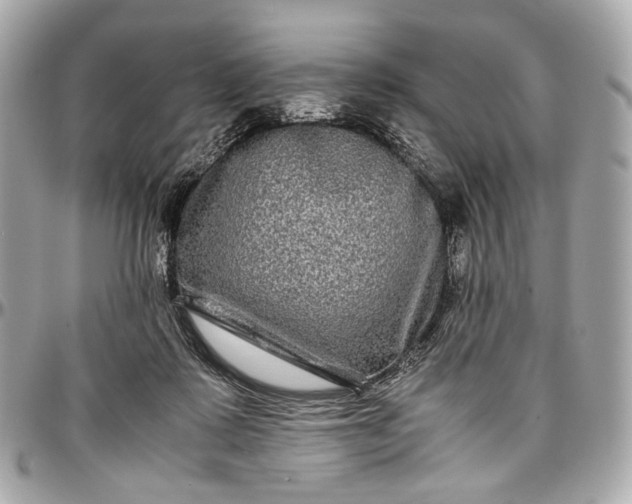 X0000096980315200802221440