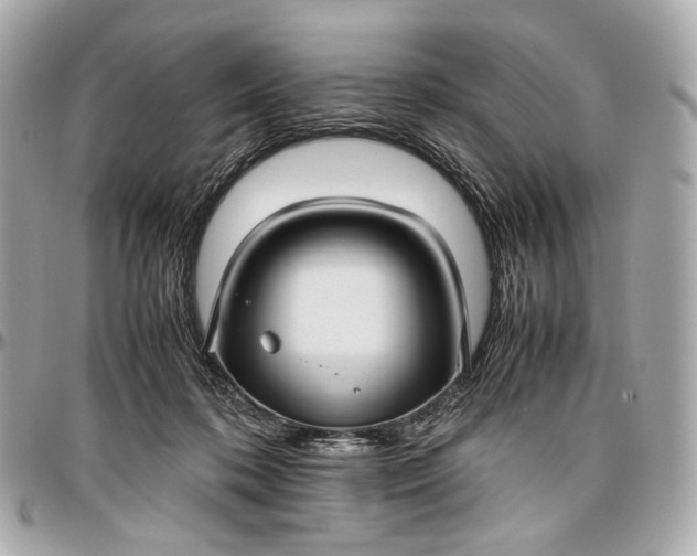 X0000096980316200802221440