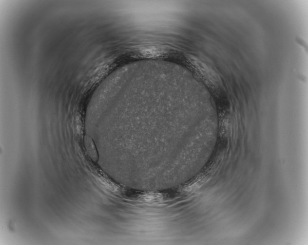 X0000096980317200802221440