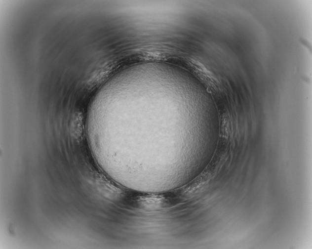 X0000096980318200802221440