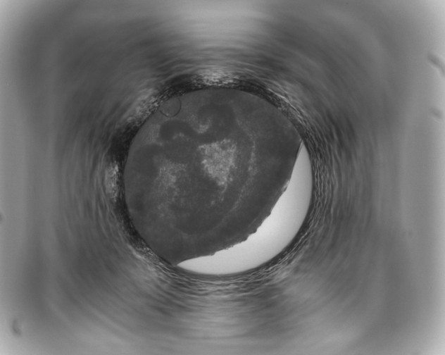 X0000096980319200802221440