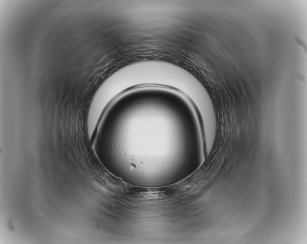 X0000096980320200802221440