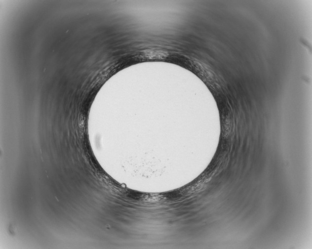 X0000096980321200802221440