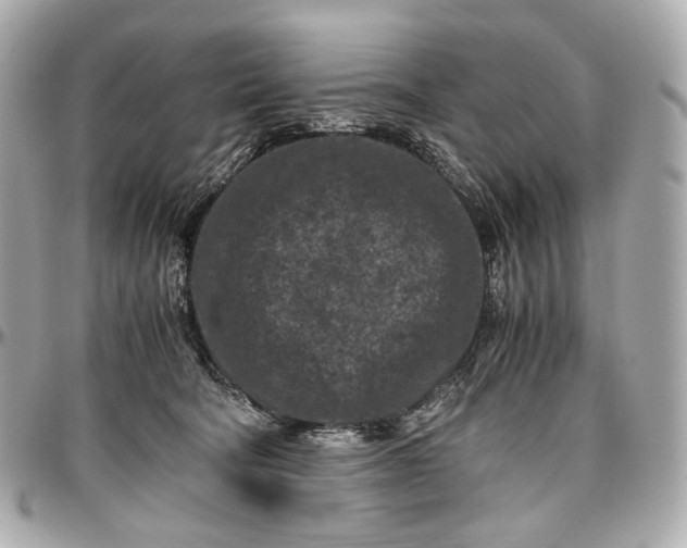 X0000096980322200802221440