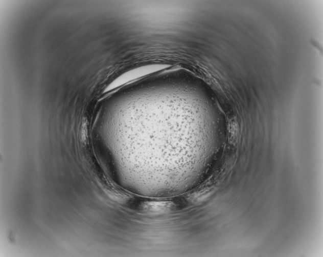 X0000096980323200802221440