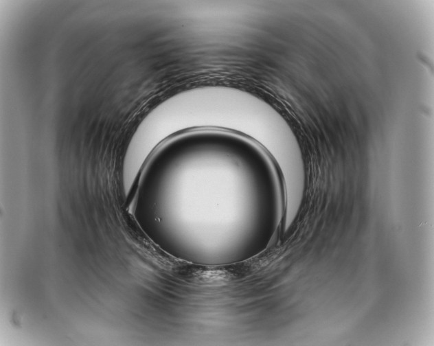 X0000096980324200802221440