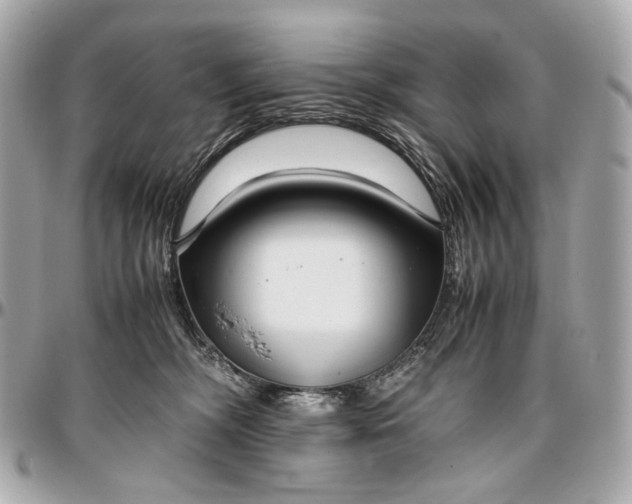 X0000096980326200802221440