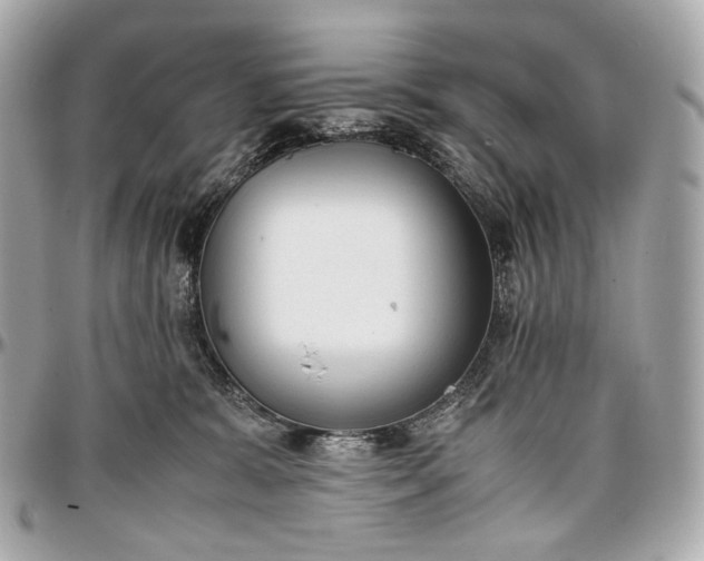 X0000096980327200802221440