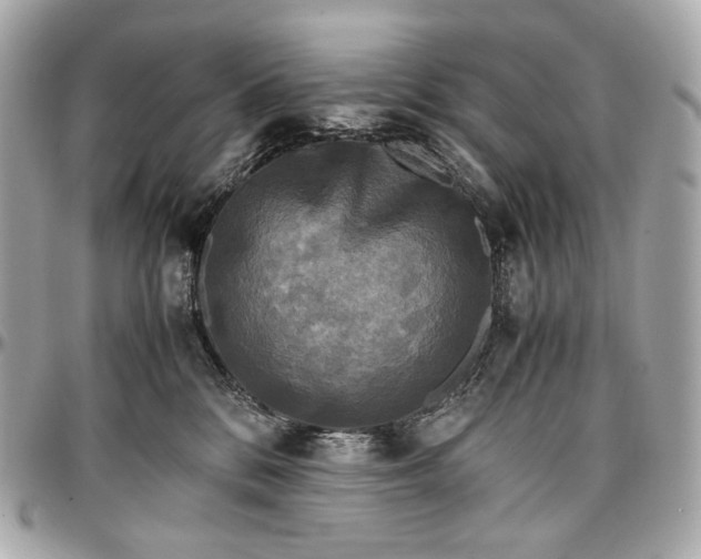 X0000096980328200802221440