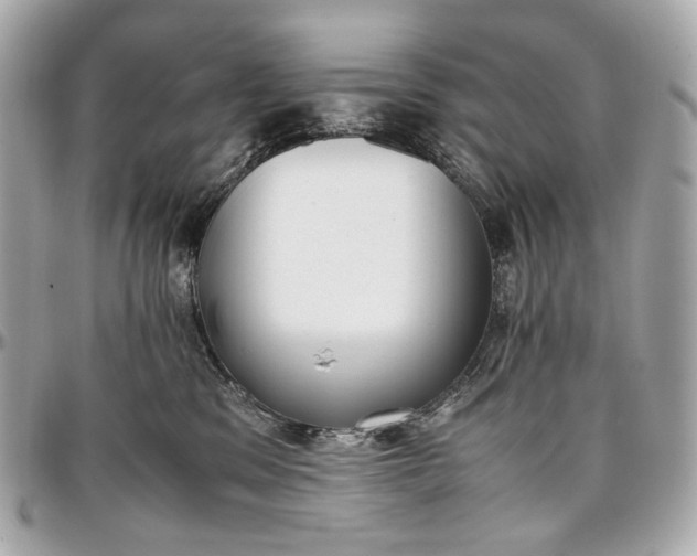 X0000096980329200802221440