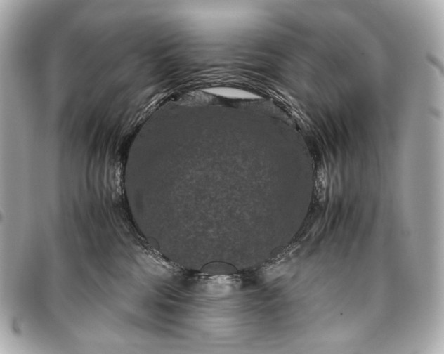 X0000096980330200802221440