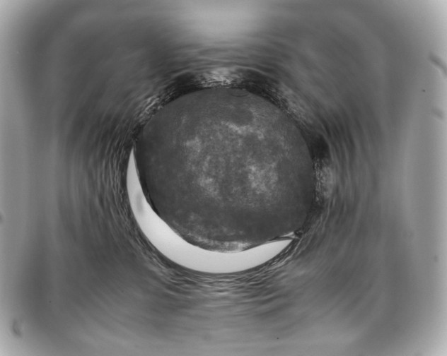 X0000096980331200802221440