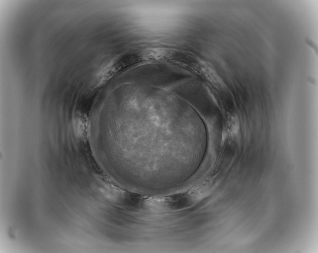 X0000096980332200802221440