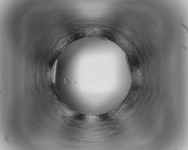 X0000096980333200802221440